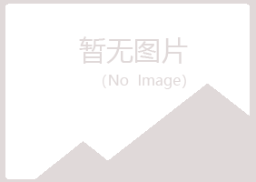 偃师沙砾咨询有限公司